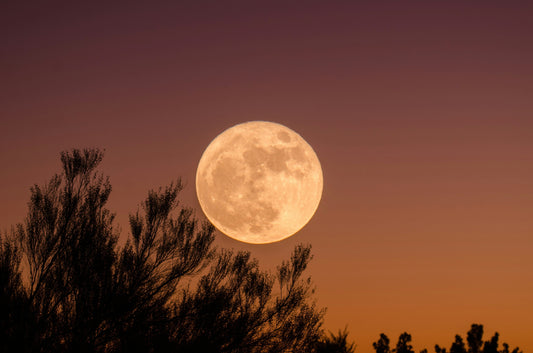 Midsummer Reset + August 8 Full Moon